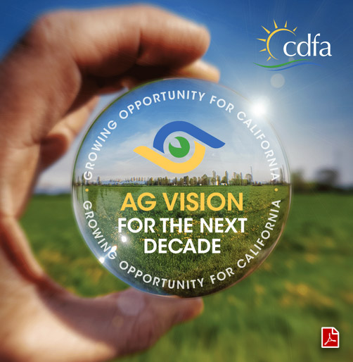 Ag Vision report cover